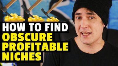 How to find Crazy Profitable Obscure Niches