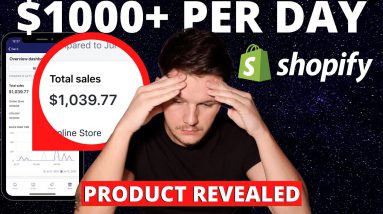I Quit My $1000 Per Day PROFITABLE Shopify Dropshipping Store