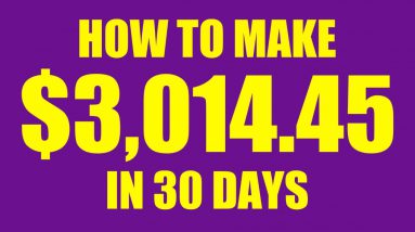 How To Make $3014.45 In 30 Days - How To Earn Money Online