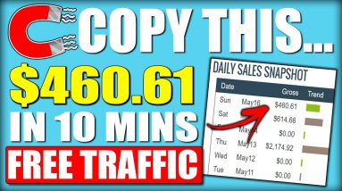 (COPY THIS) How I Made $460.61 In 10 Minutes Using FREE Traffic To Make Money Online